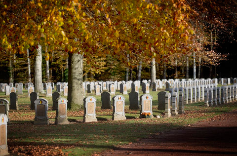 War Memorials and Cemeteries